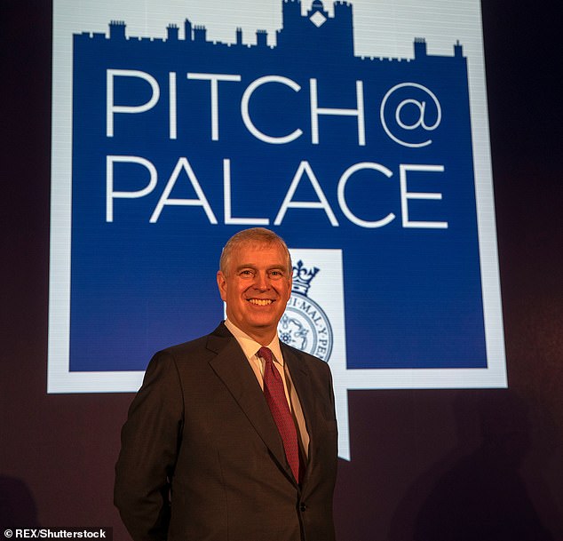 Prince Andrews pet project PitchPalace