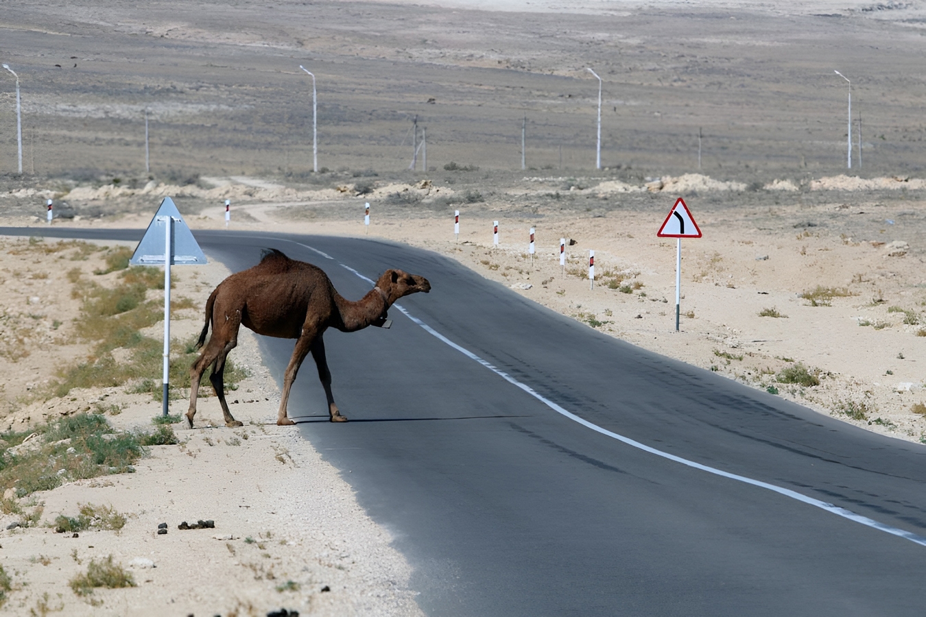 Kazakhstan’s water deficit threatens to scramble economic development agenda