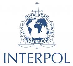 Necessary Reforms Can Keep Interpol Working in the U.S. Interest