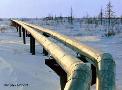 China tightens Central Asia hold with new gas link
